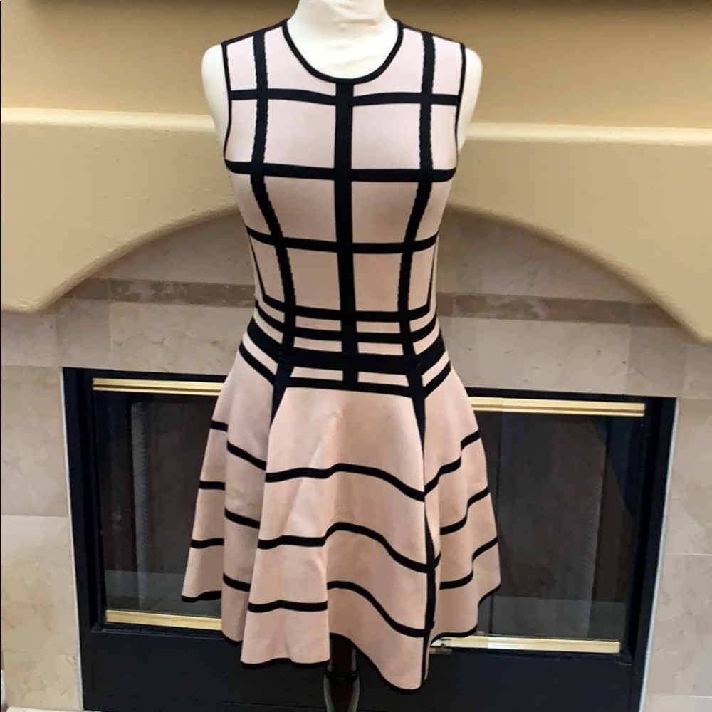 Torn by Ronny Kobo fit and flare dress L